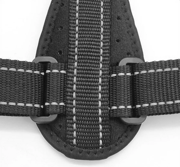 Posture brace shark tank deals